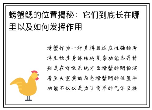 螃蟹鳃的位置揭秘：它们到底长在哪里以及如何发挥作用